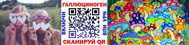 Галлюциногенные грибы мицелий  Новотитаровская 